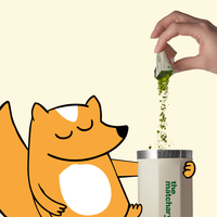 Kit Matcha + Botella térmica